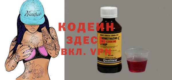дживик Пересвет