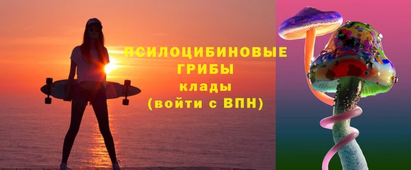 2c-b Алзамай