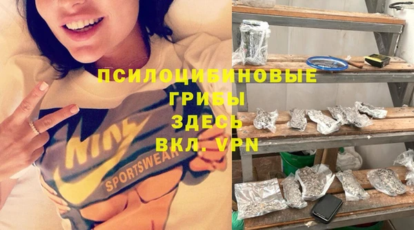амф Алексин