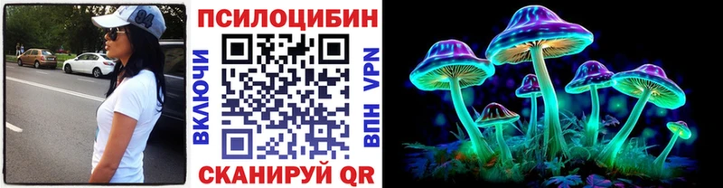 Псилоцибиновые грибы Psilocybe  наркота  Краснознаменск 